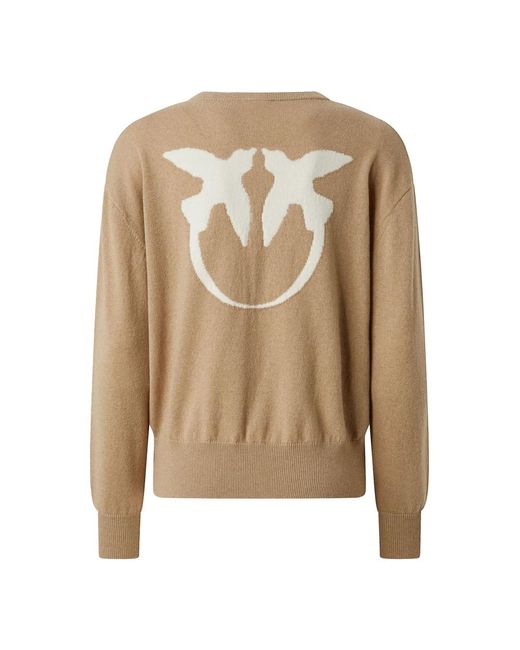 Pinko Brown Round-Neck Knitwear