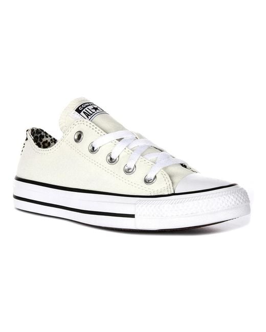 Converse White Sneakers