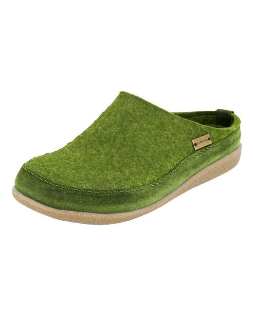 Haflinger Green Everest Team