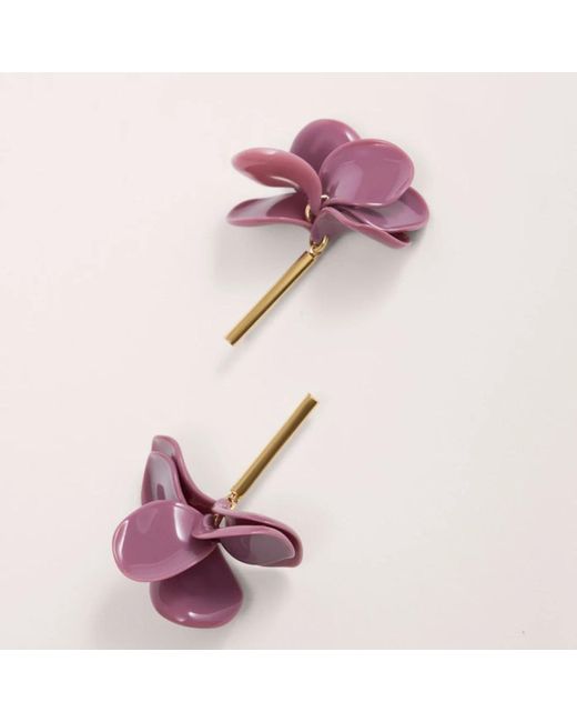 Malababa Earrings in het Purple