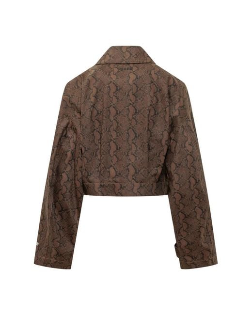 Denim Jackets MSGM de color Brown