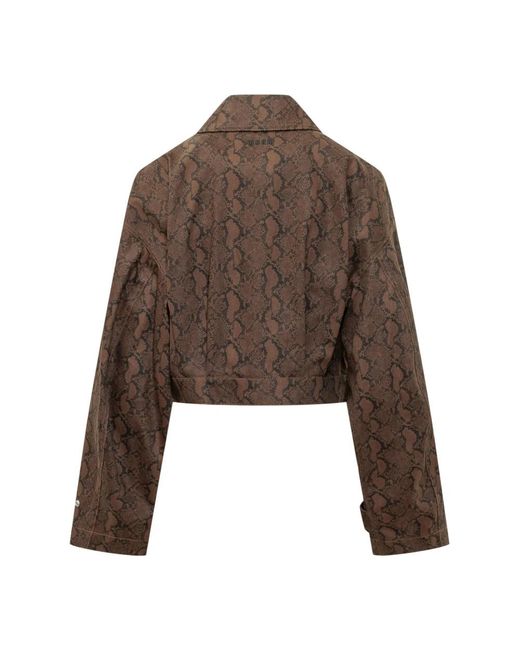 MSGM Giubbino in het Brown