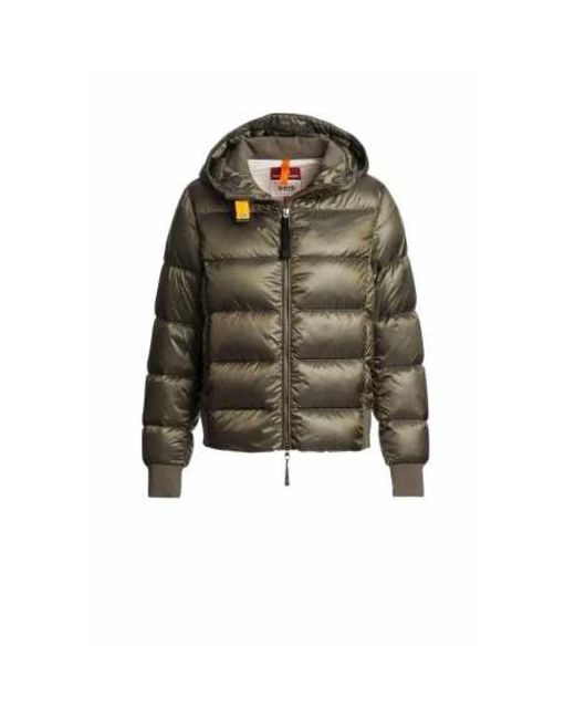 Parajumpers Down Jackets in het Green