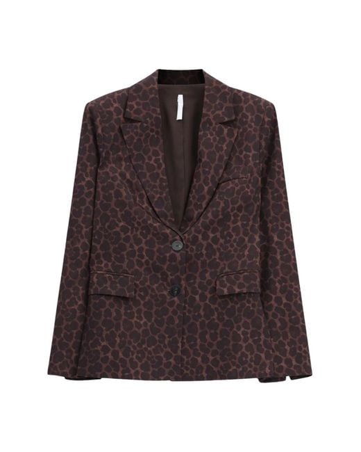 Imperial Brown Blazers