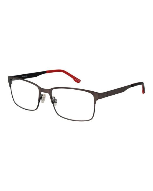 Glasses di Spy in Brown
