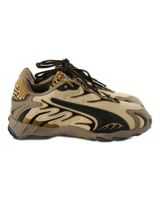PUMA Brown Sneakers for men