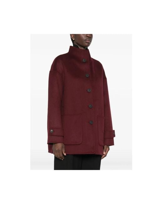 Light Jackets The Dynamis Studio de color Purple