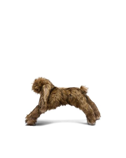 Simone Rocha Clutches in het Brown