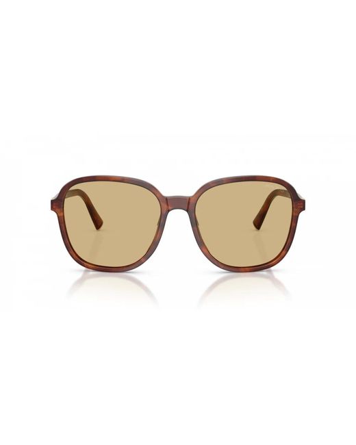 Miu Miu Brown Sunglasses
