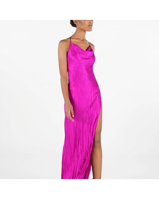 Roberto Cavalli Purple Gowns