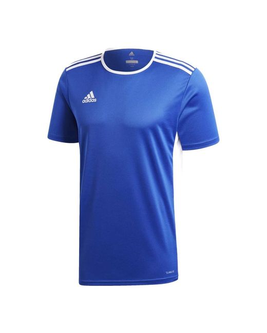 Adidas T-shirt entrada 18 jsy königlich blau in Blue für Herren