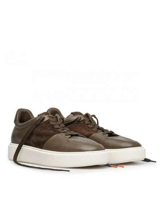 Barracuda Sneakers in Brown für Herren