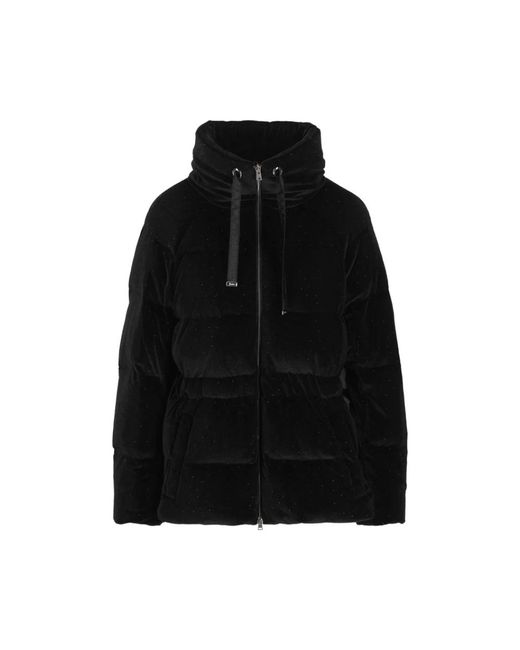 Down Jackets Herno en coloris Black