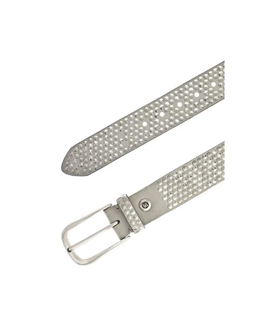 B. Belt Gray Belts