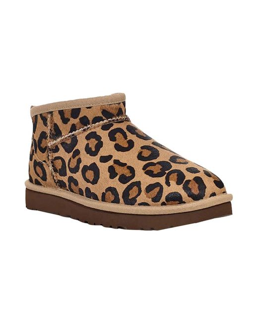 Winter Boots di Ugg in Brown