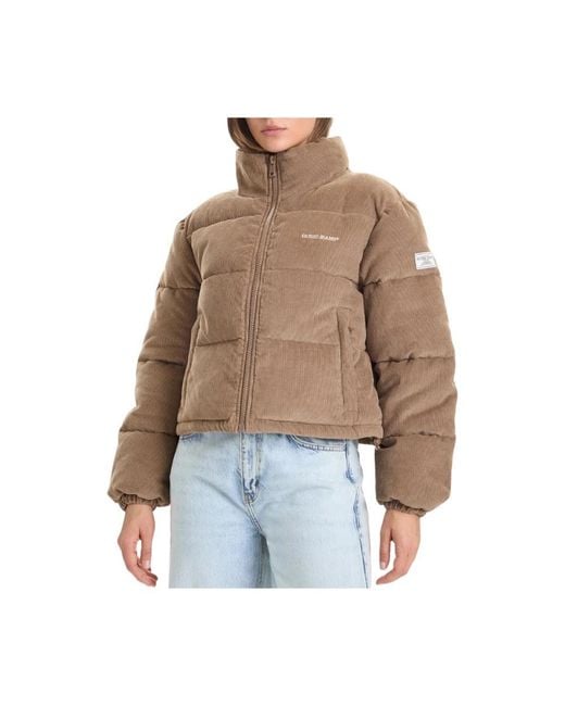Winter Jackets Guess de color Natural