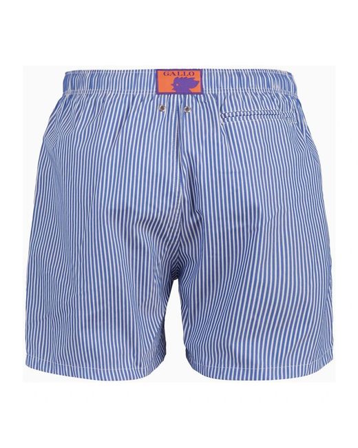 Beachwear Gallo de hombre de color Blue