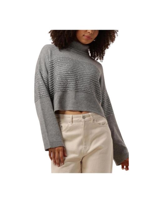 Twinset Turtlenecks in het Gray