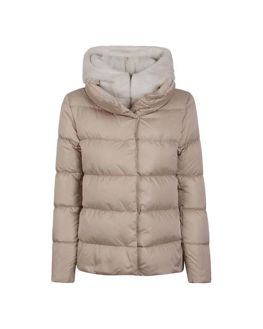 Jackets > winter jackets Herno en coloris Gray