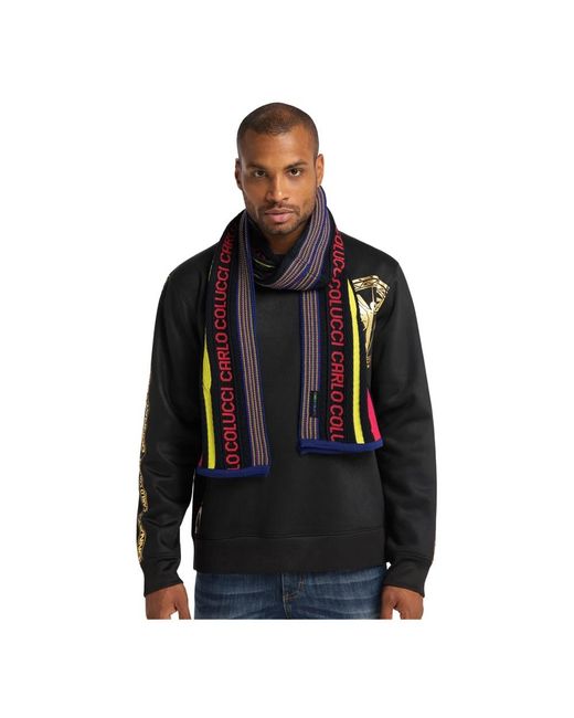 carlo colucci Purple Scarves for men