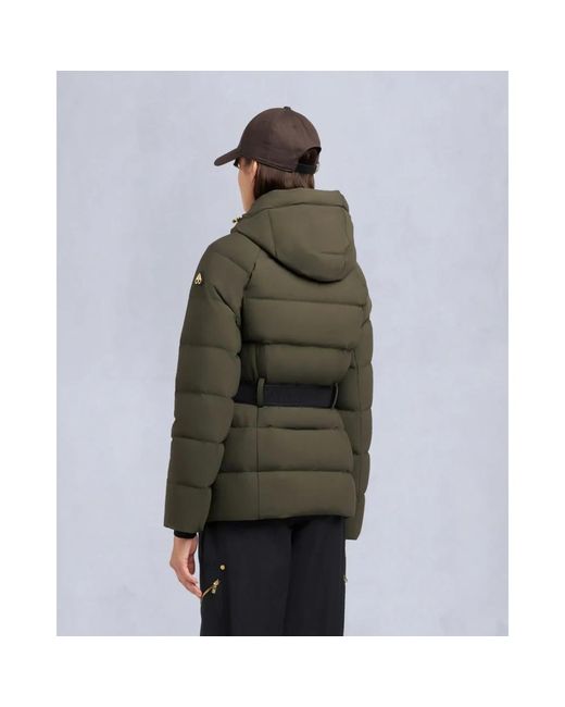 Winter Jackets Moose Knuckles en coloris Green