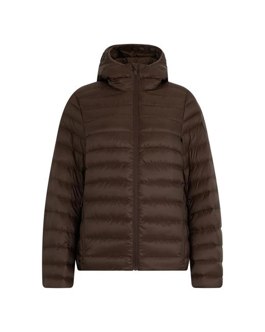 Canada Goose Brown Winter Jackets