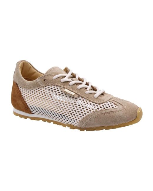 Scapa Multicolor Taj Sneaker