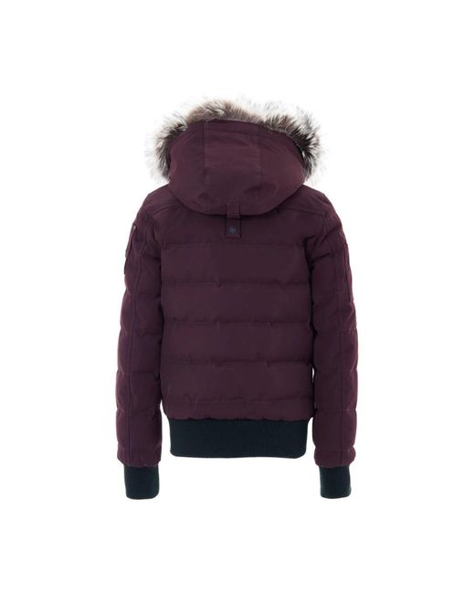 Moose Knuckles Purple Winter Jackets