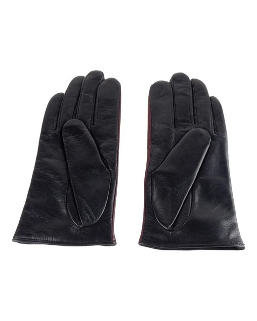 Class Roberto Cavalli Purple Gloves