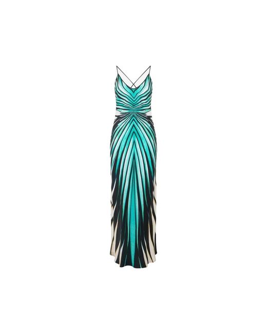 Roberto Cavalli Kleedjes ,Blauw ,Zee Print Zijden Maxi Jurk in het Blue