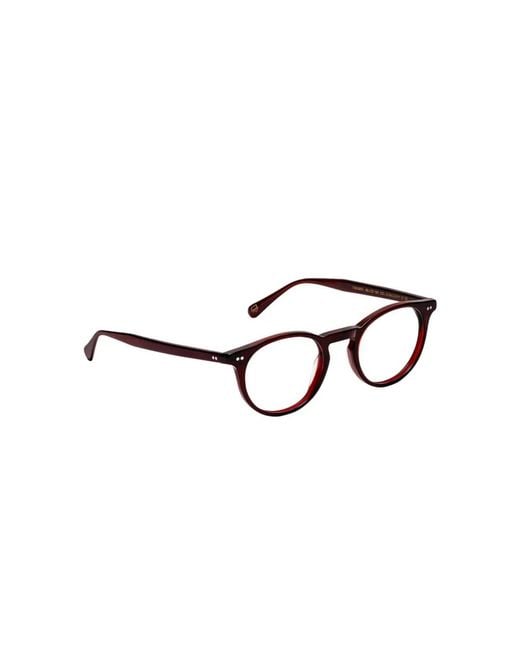 Moscot Brown Glasses