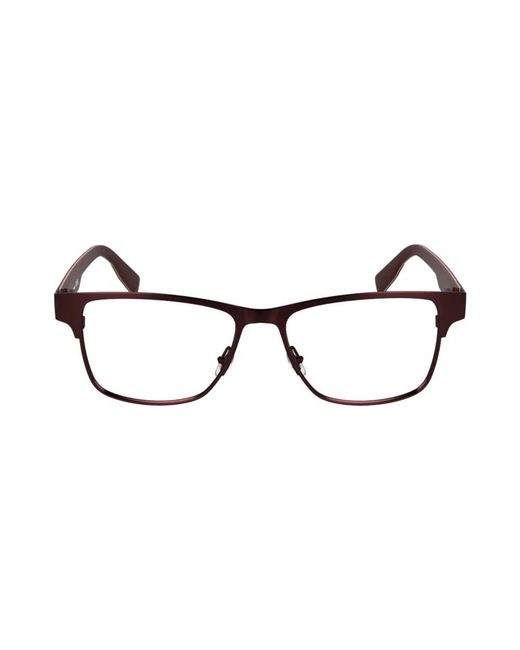Lacoste Brown Glasses