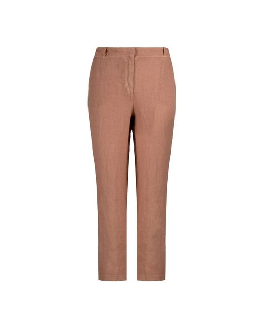 Bomboogie Brown Chinos