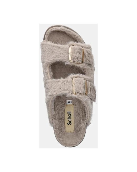 Scholl Gray Badeschuhe