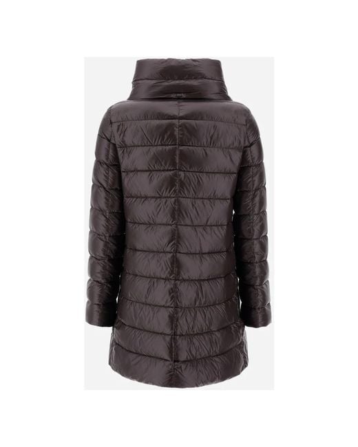 Winter Jackets Herno de color Brown