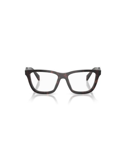 Prada Brown Glasses