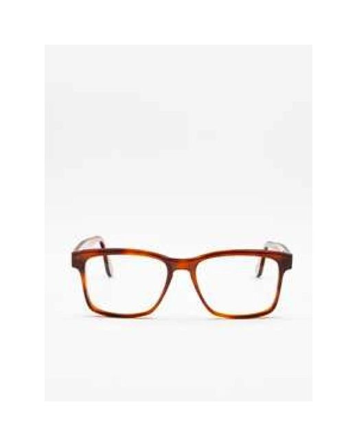 Moli Limo Brown Glasses