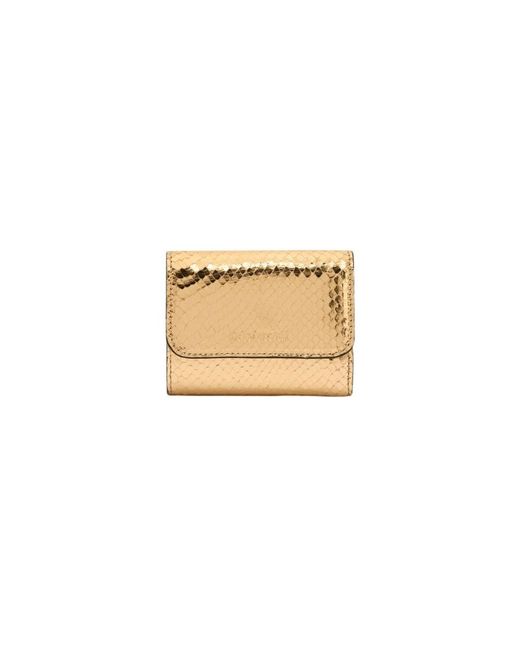 Wallets & Cardholders di Roberto Cavalli in Natural