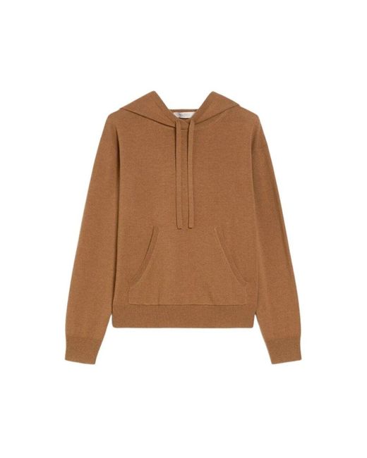 Max Mara Brown Elegante kapuzenkleidbluse