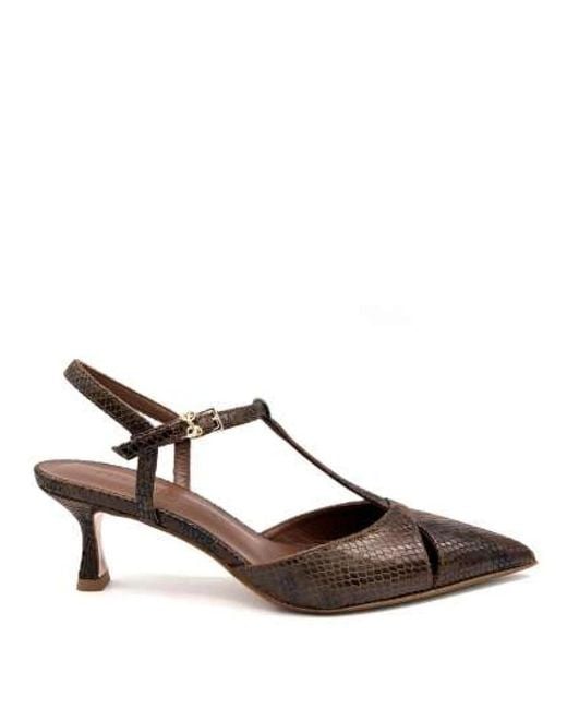 Sergio Levantesi Brown Pumps