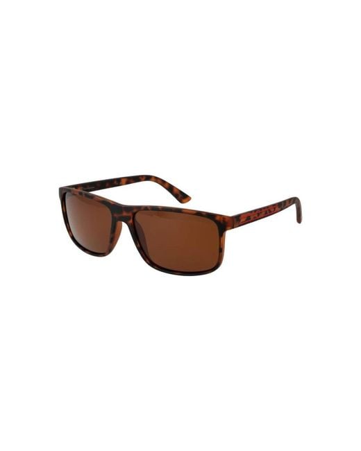Champion Brown Sunglasses for men
