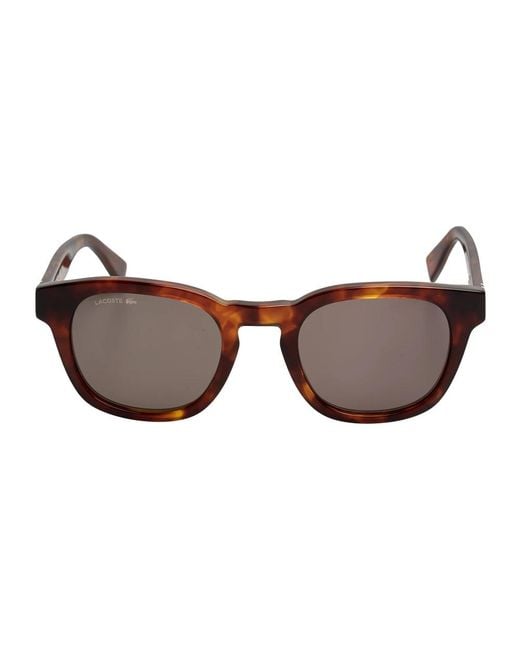 Lacoste Brown Sunglasses for men