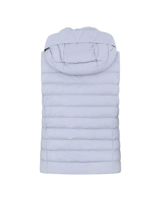 Moorer Blue Vests