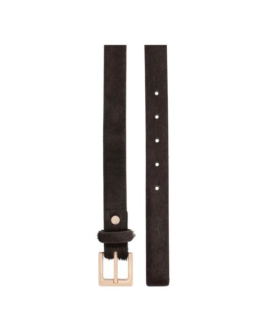 Belts di Kazar in Black