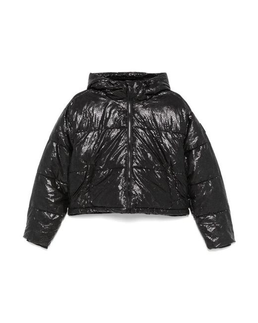 DKNY Black Winter Jackets