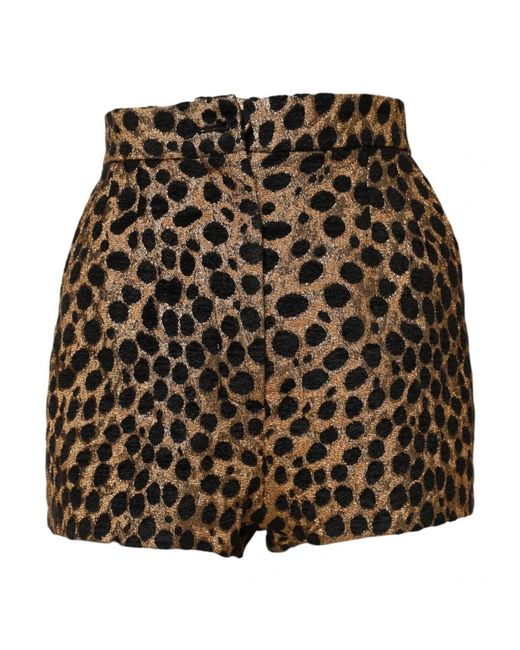 Dolce & Gabbana Brown Short Shorts