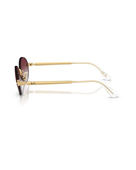 Ray-Ban Brown Sunglasses