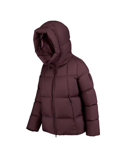Down Jackets di Bomboogie in Purple