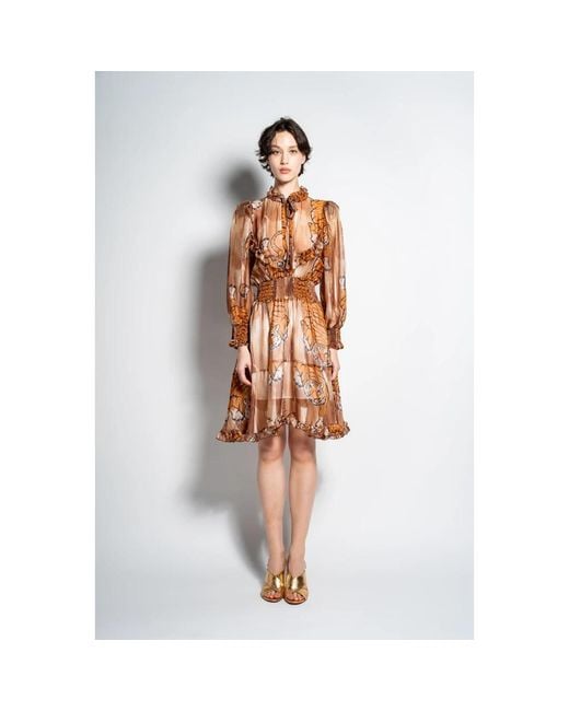 Midi Dresses 5 PROGRESS de color Brown