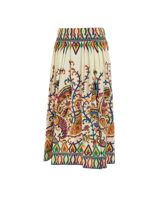 Etro Maxi Skirts in het Multicolor